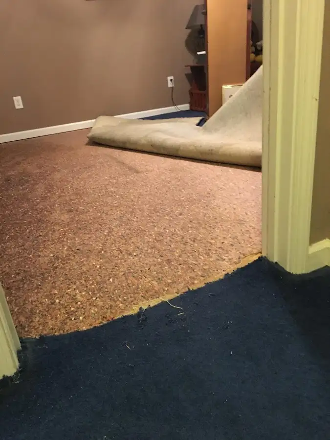 Carpet pad removal revealing water damage during Water Mitigation Services in Dove Valley