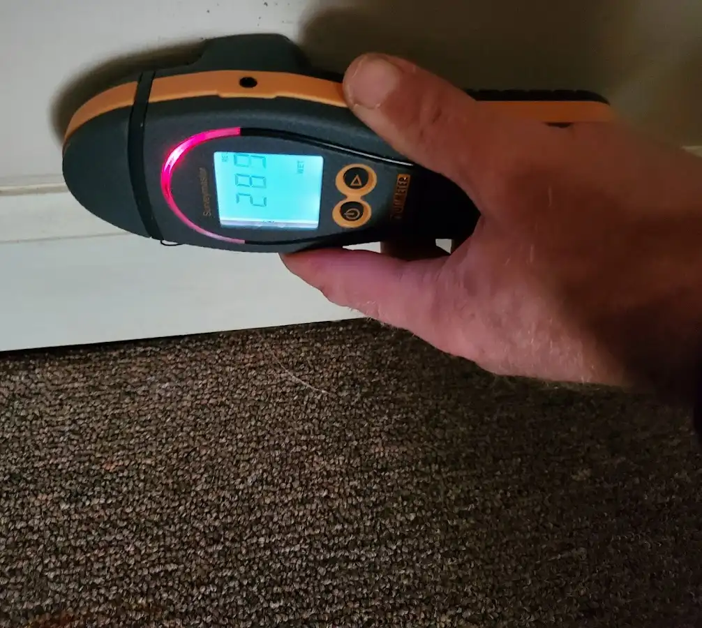 Moisture detection at baseboard during Sewage Cleanup & Sanitation in Dove Valley