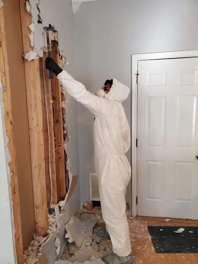 Water Damage Restoration services in Dove Valley, CO